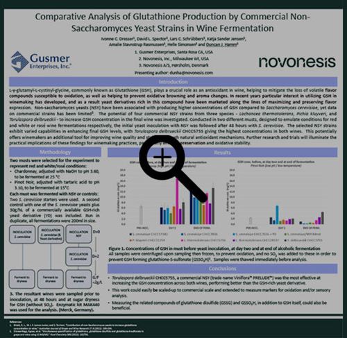 Gusmer Novonesis ASEV download
